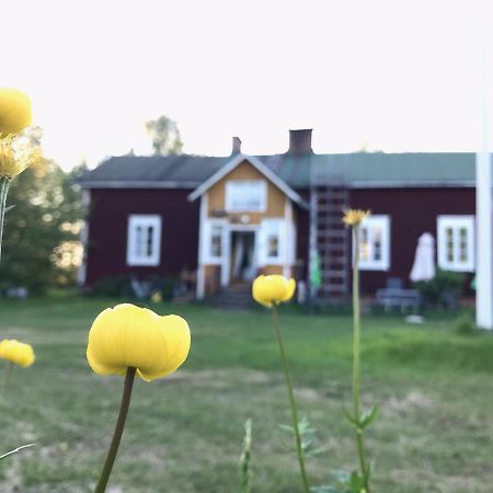 Paeivin Pirtti - Pirttikahvila Ja B&B Luosto Buitenkant foto