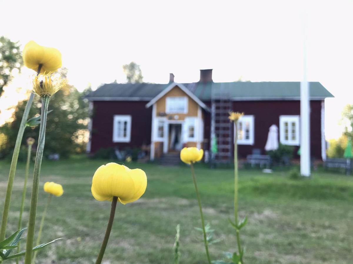 Paeivin Pirtti - Pirttikahvila Ja B&B Luosto Buitenkant foto